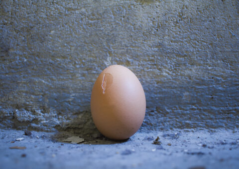 20180320_CELUIQUITRANSPORTEDESOEUFSNESEBAGARREPAS