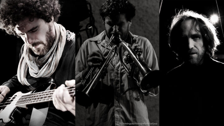 20190215-Ostrakinda©O.Lété©ArmelleDousset-A.Avice©RDominguez-TGouband©DR