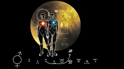 VAISSEAU-MERE-Version-Horizontale_Crédit-Rozetta_22-12-21-WEB