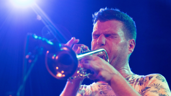 Pomme de Terre © Teona Goreci