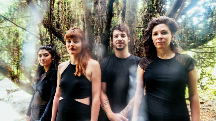 Inui © Sylvain Gripoix