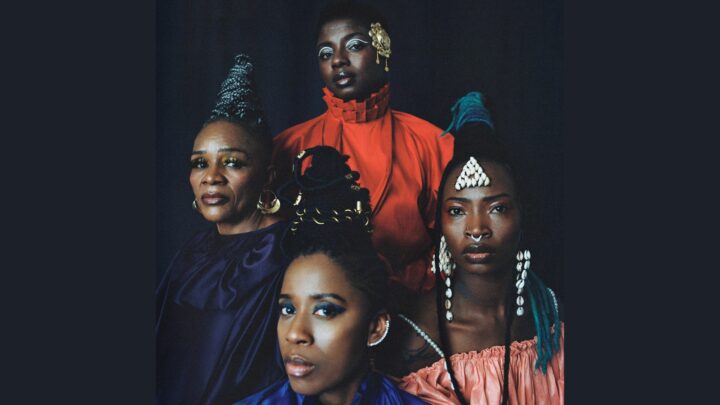 les amazones d&rsquo;afrique