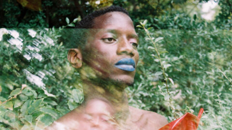 Authentically Plastic – crédit Drago Xie