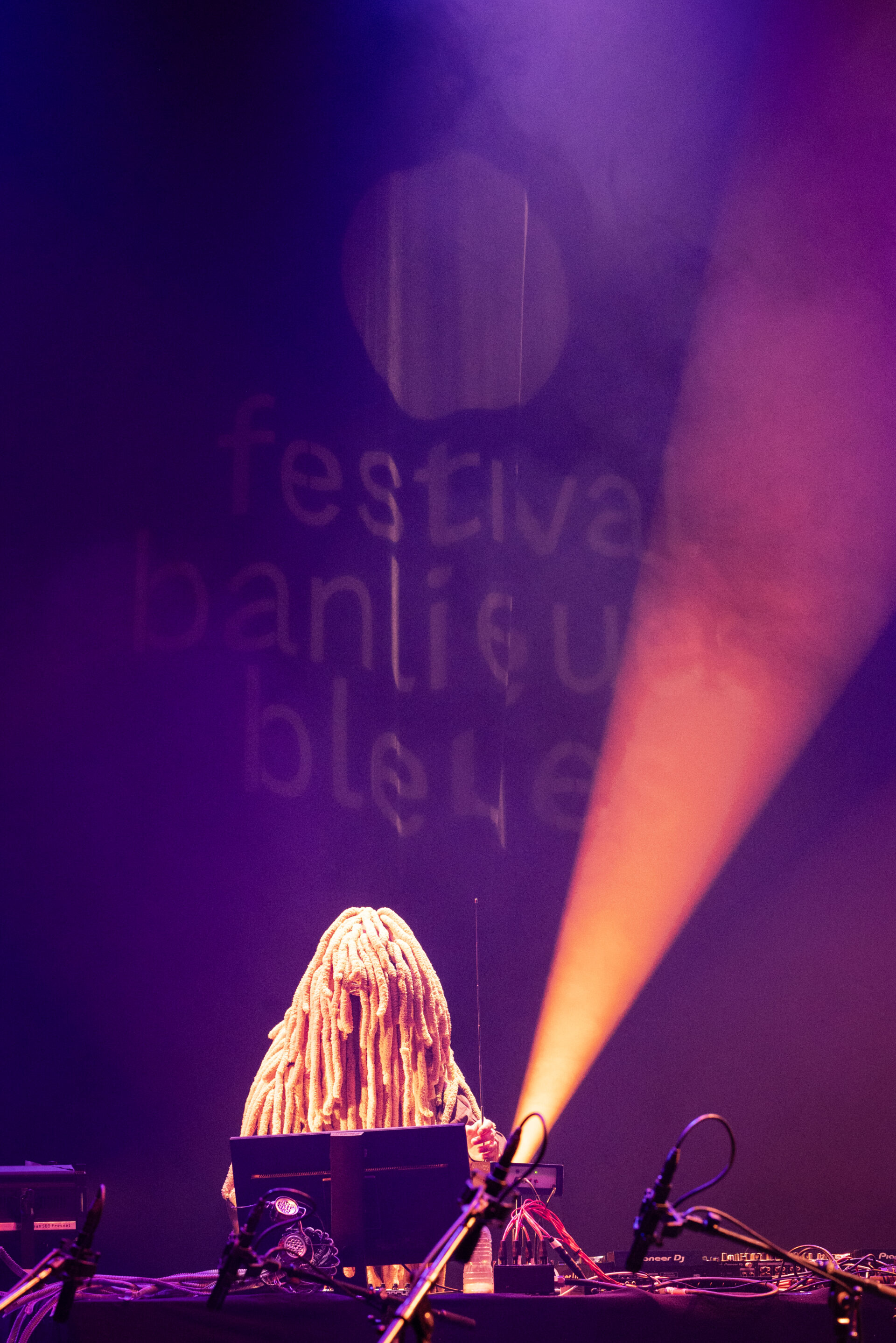 L&rsquo;espace 93_2024 03 30©Banlieues Bleues_Nadège Le Lezec_39