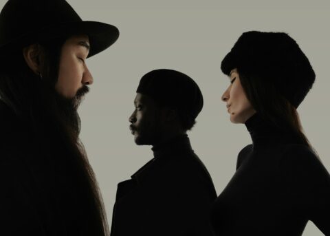 Gaister © Nhu Xuan Hua